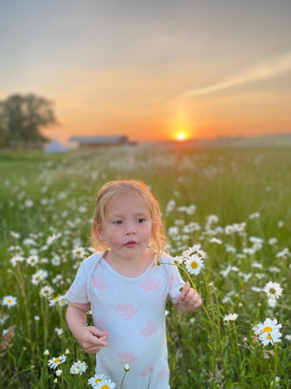 Girl in flowers, sunset 6.JPG