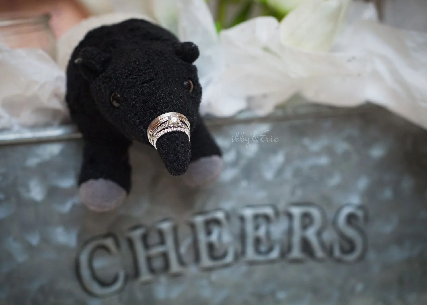 Wedding rings stacked on a stuffed animal tapir's nose sticking out of a gift box that says cheers.