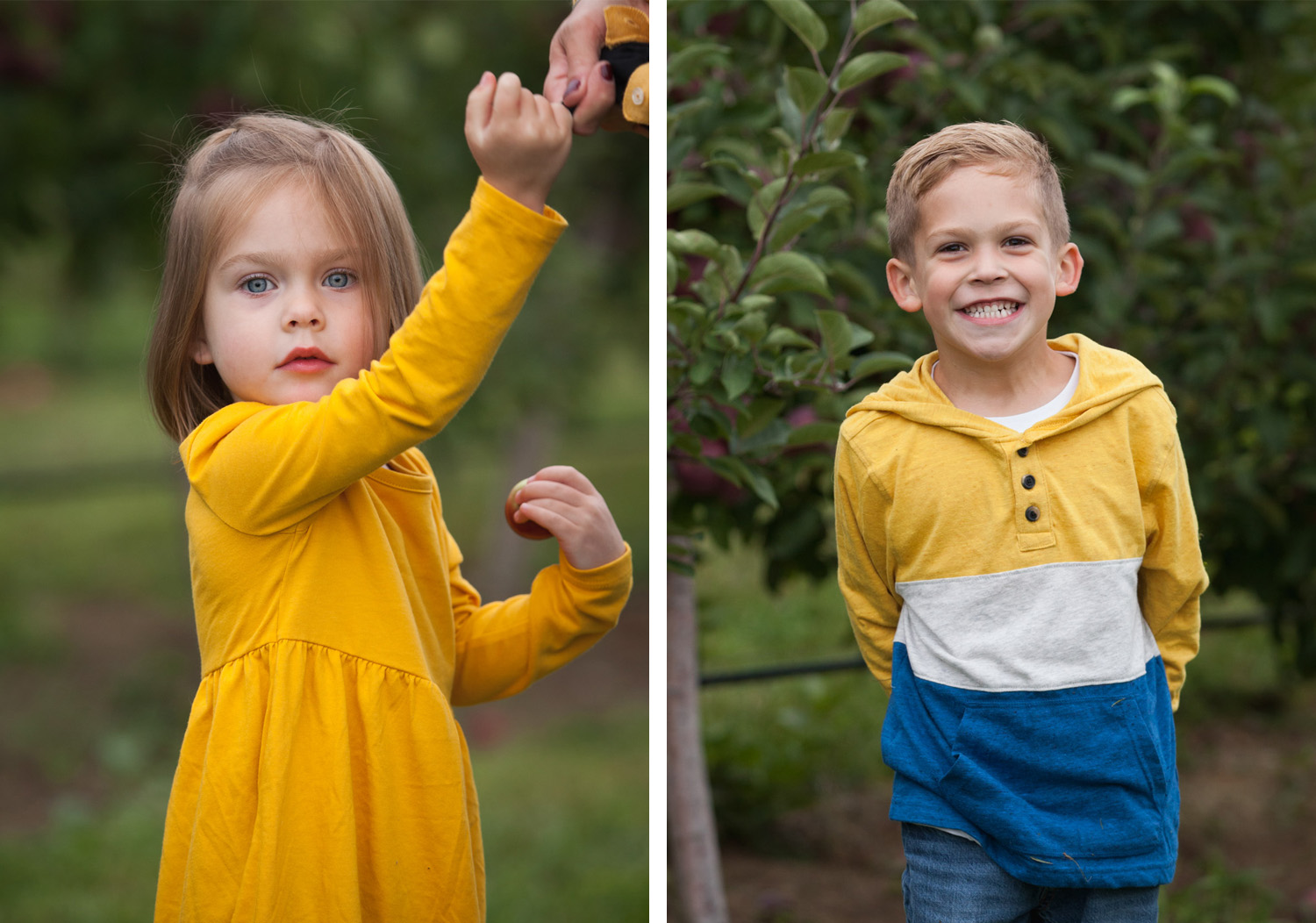 2 year old girl wearing yellow dress holds a tiny apple and boy wearing striped shirt smiles in front of an apple tree.