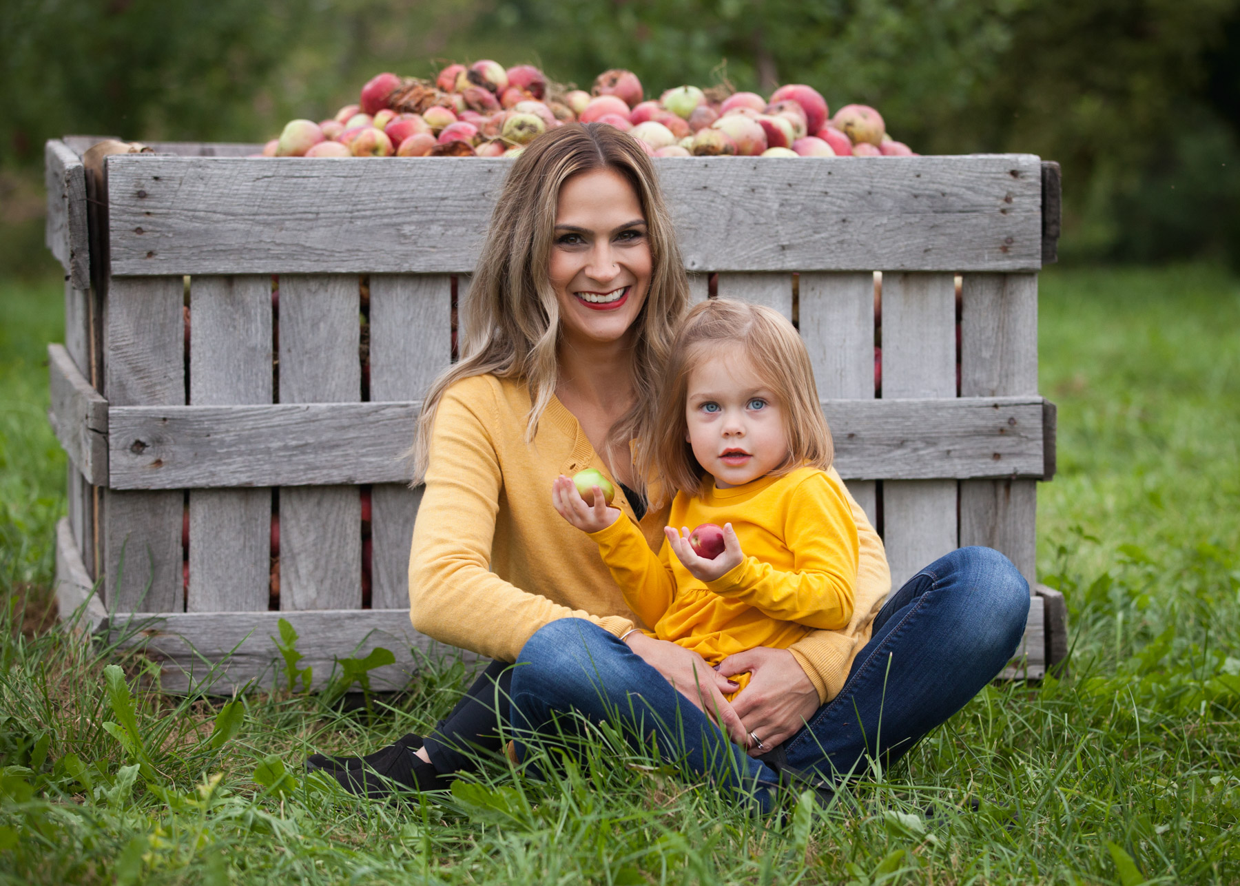 2 year old daughter wearing yellow dress sits on her mom’s lap in front of a giant crate of apples at at Park Hill Orchard.