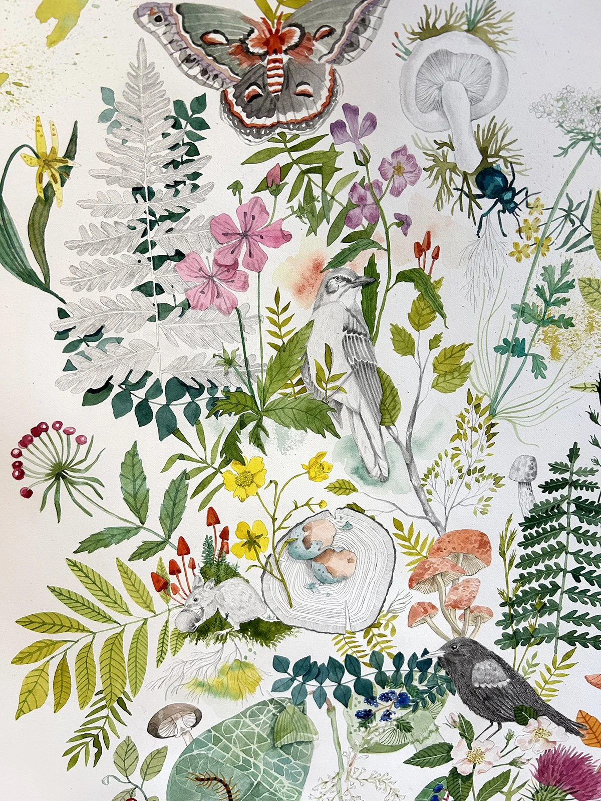 flora3.jpg