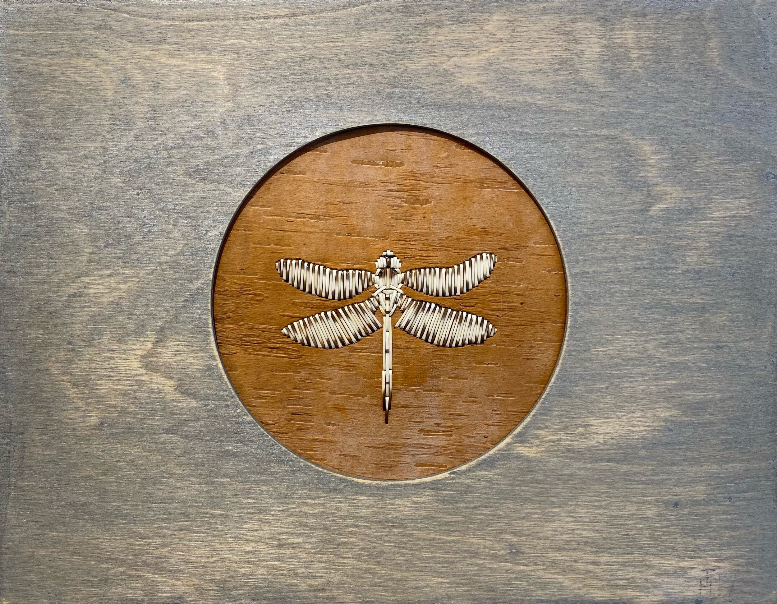 $1200.00, Apuciqaha (Dragonfly) - Porcupine Quills, Birch Bark, wood panel, 11” x 14