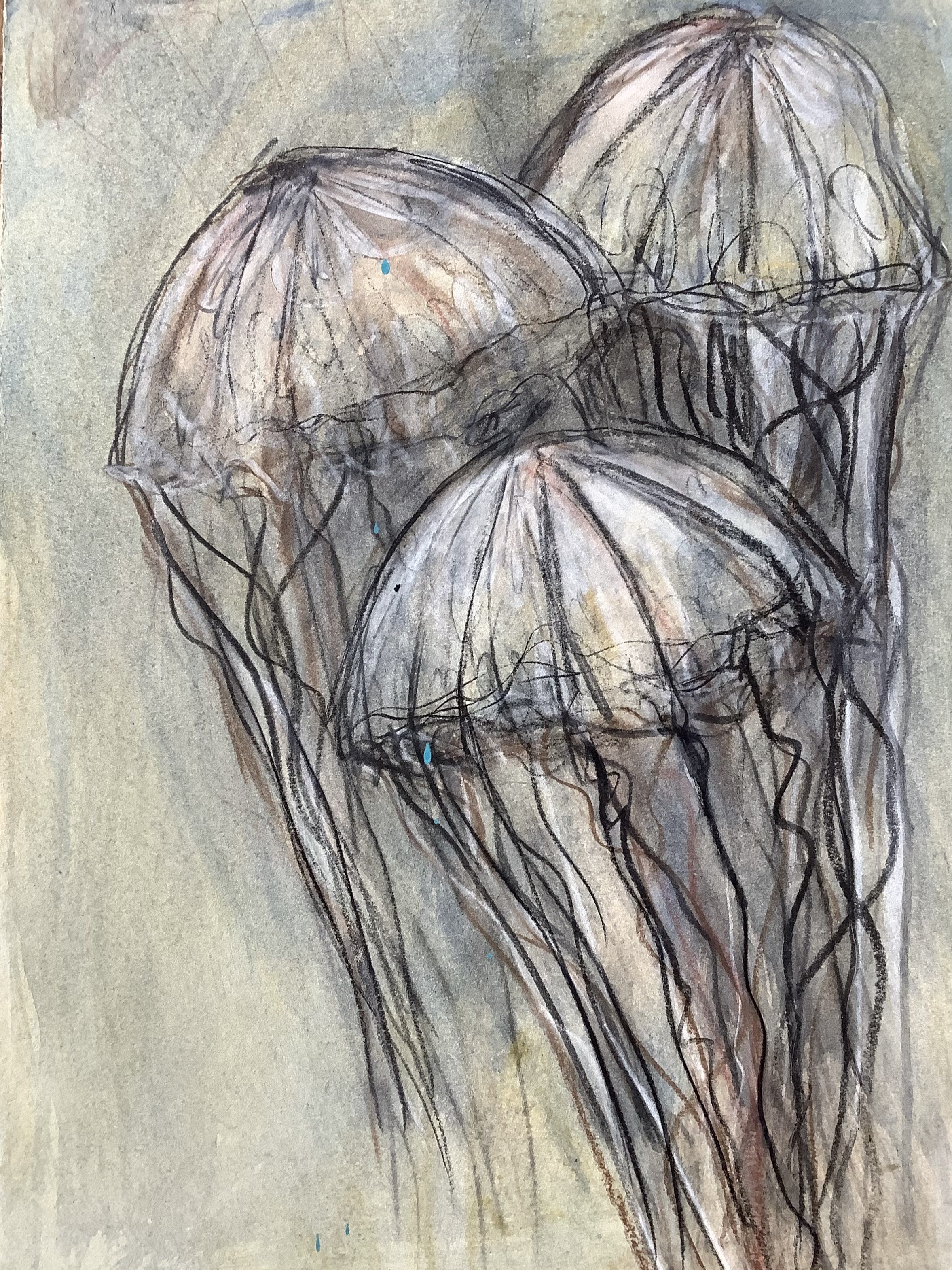 Jellyfish (Small) 4- 14.5" x 11", Acrylic on Mylar, $400