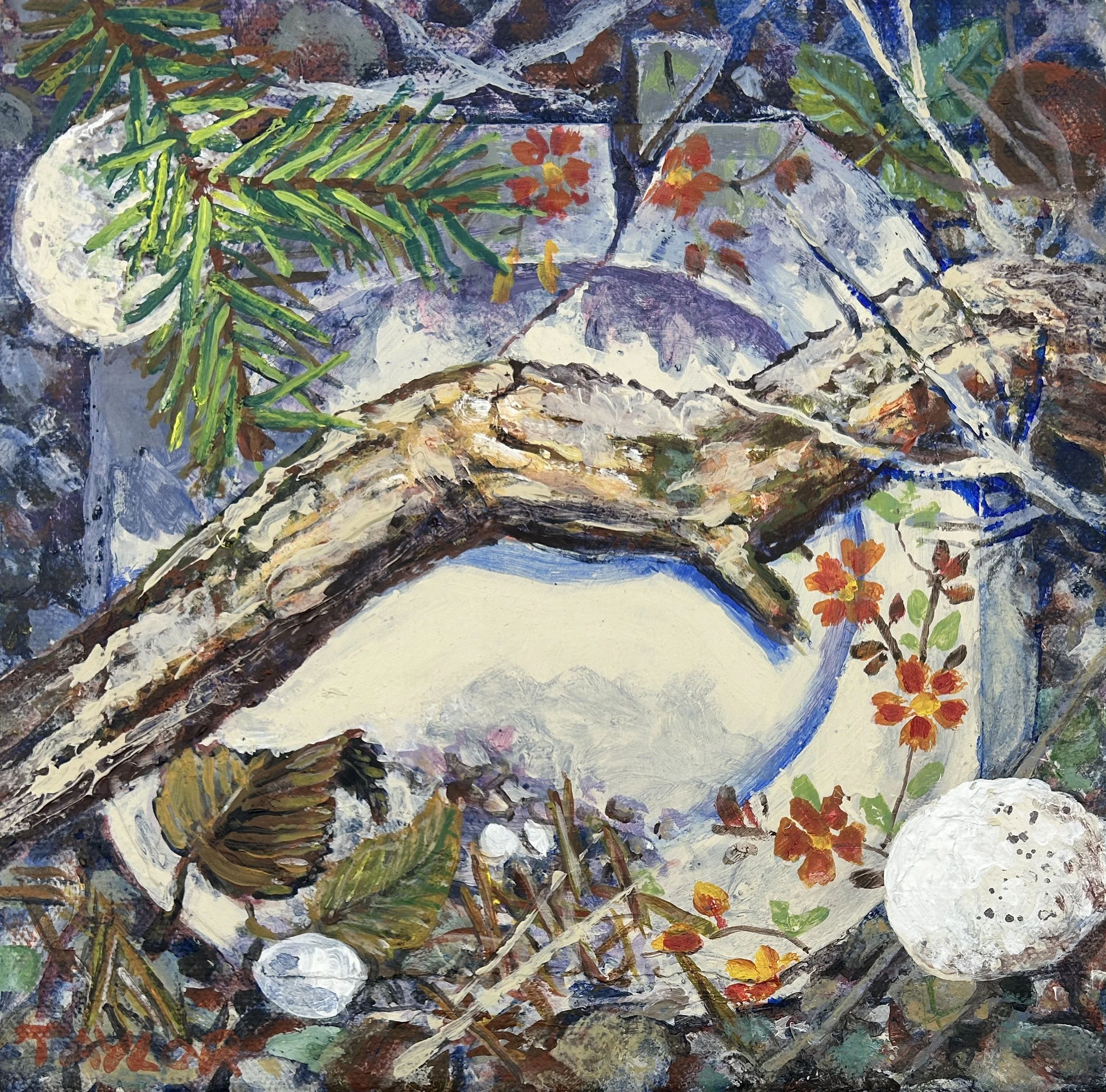 Carol Taylor