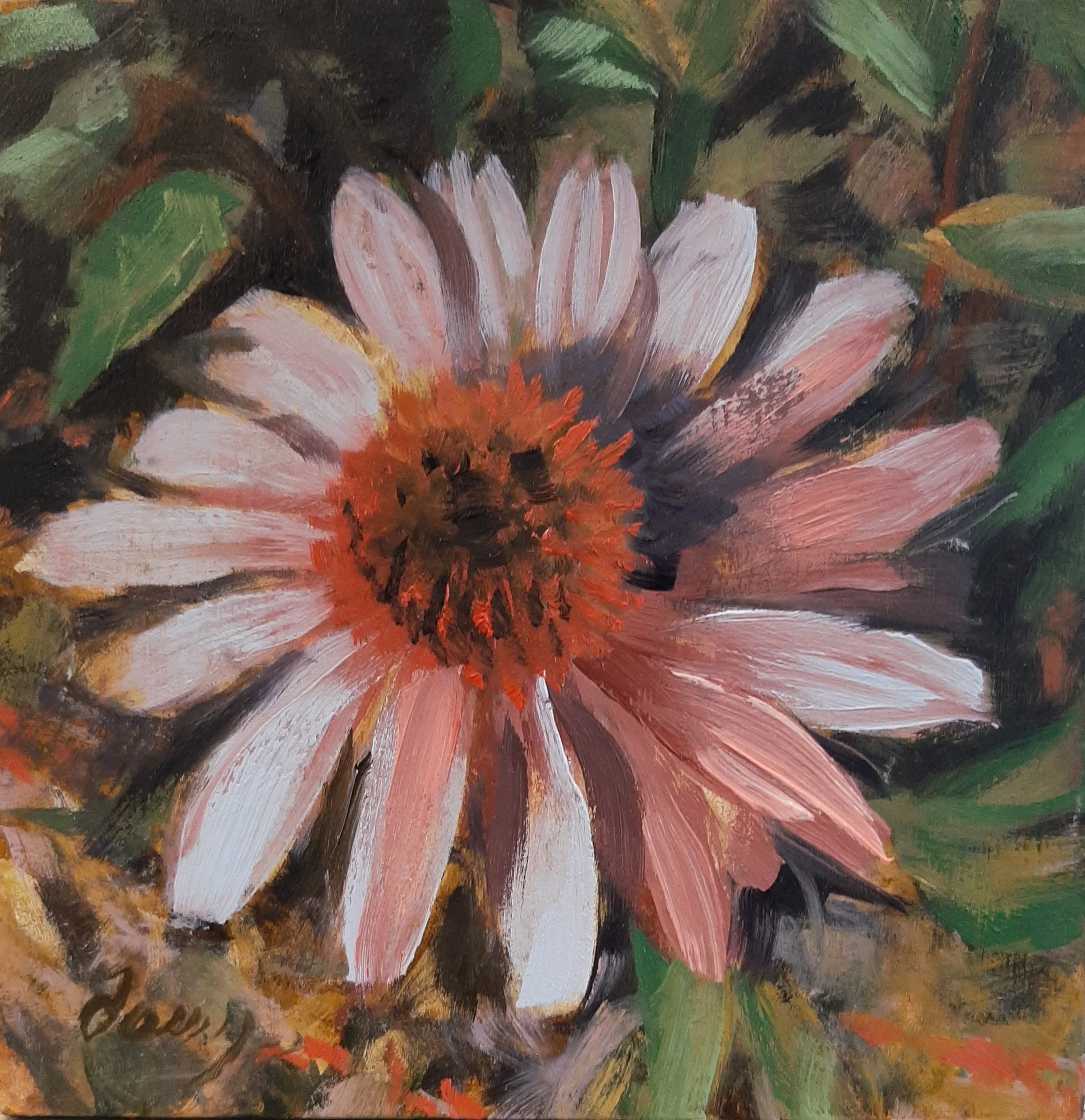 Flora I Kingsbrae, 2021 - 5" x 5", Oil on Linen