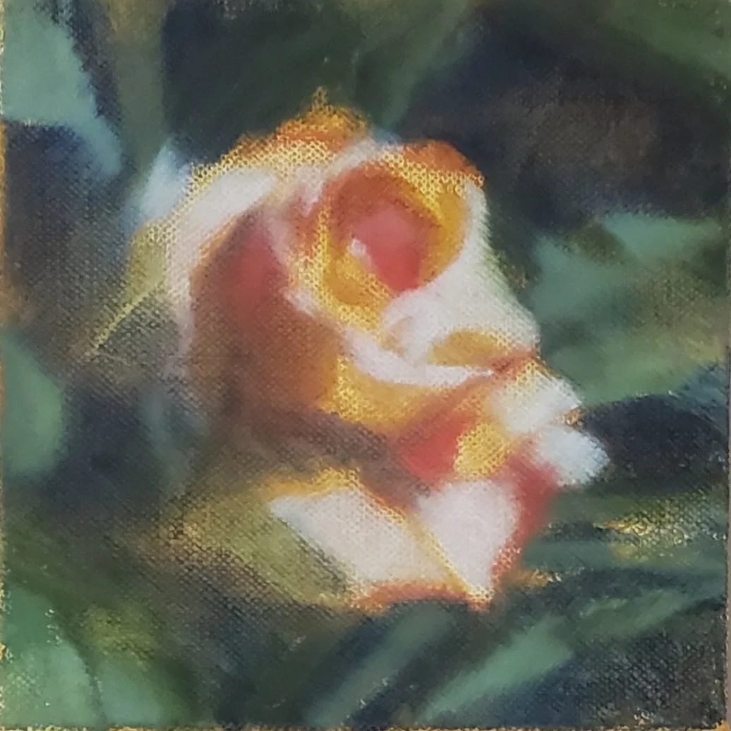 Yellow Rose, 2022 - 5" x 5", Oil on Linen