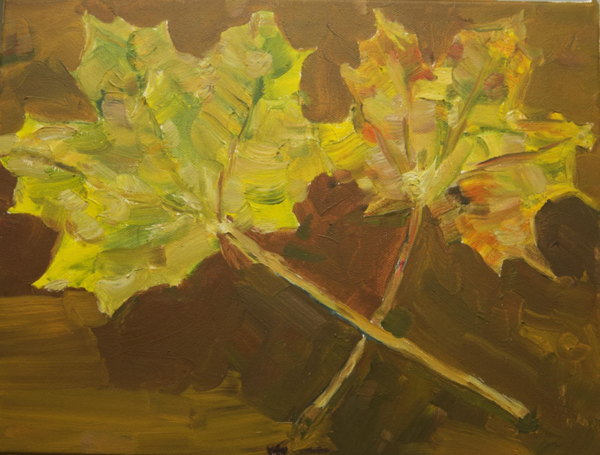 Two Leaves, 2025, 9" x 12", Oil on Canvas, $500