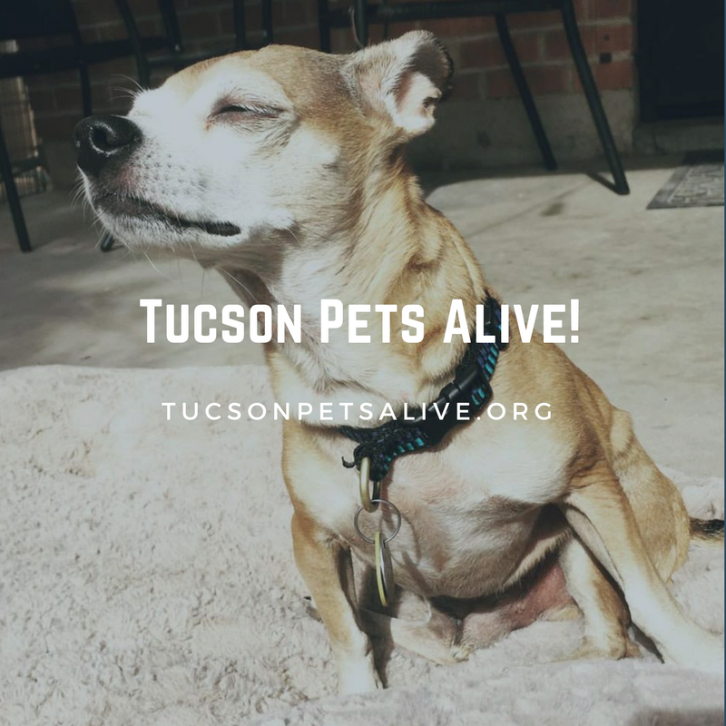 Tucson Pets Alive!.png
