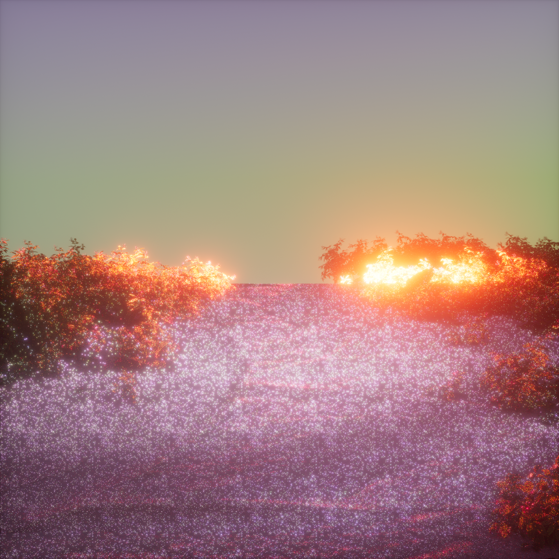 Beauty2.png