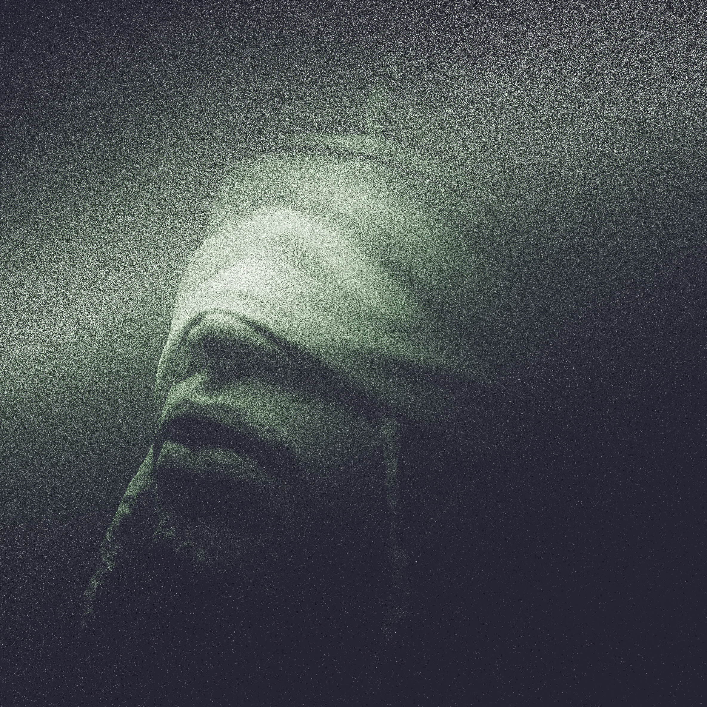 CVR_KN_-5.png