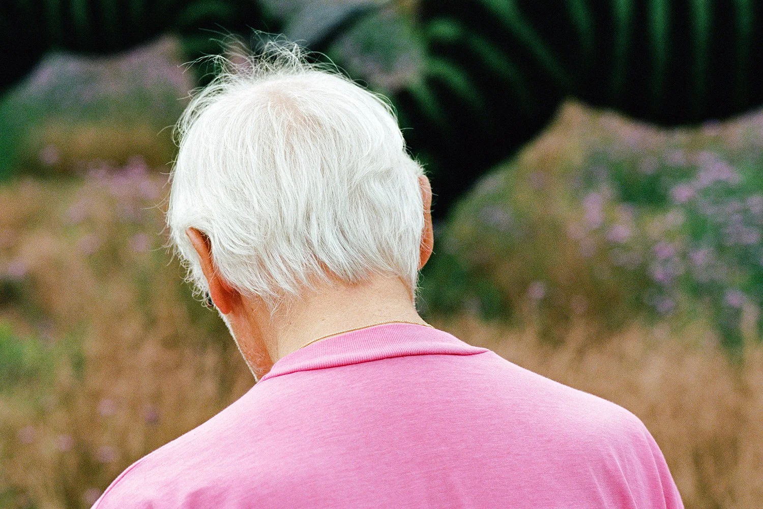 q15.jpg