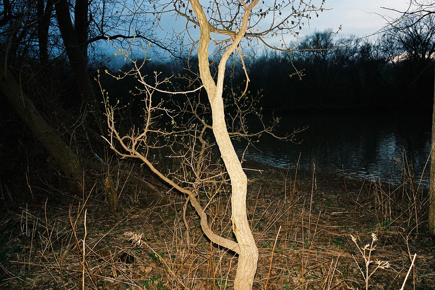 R1-07653-012Ac.jpg