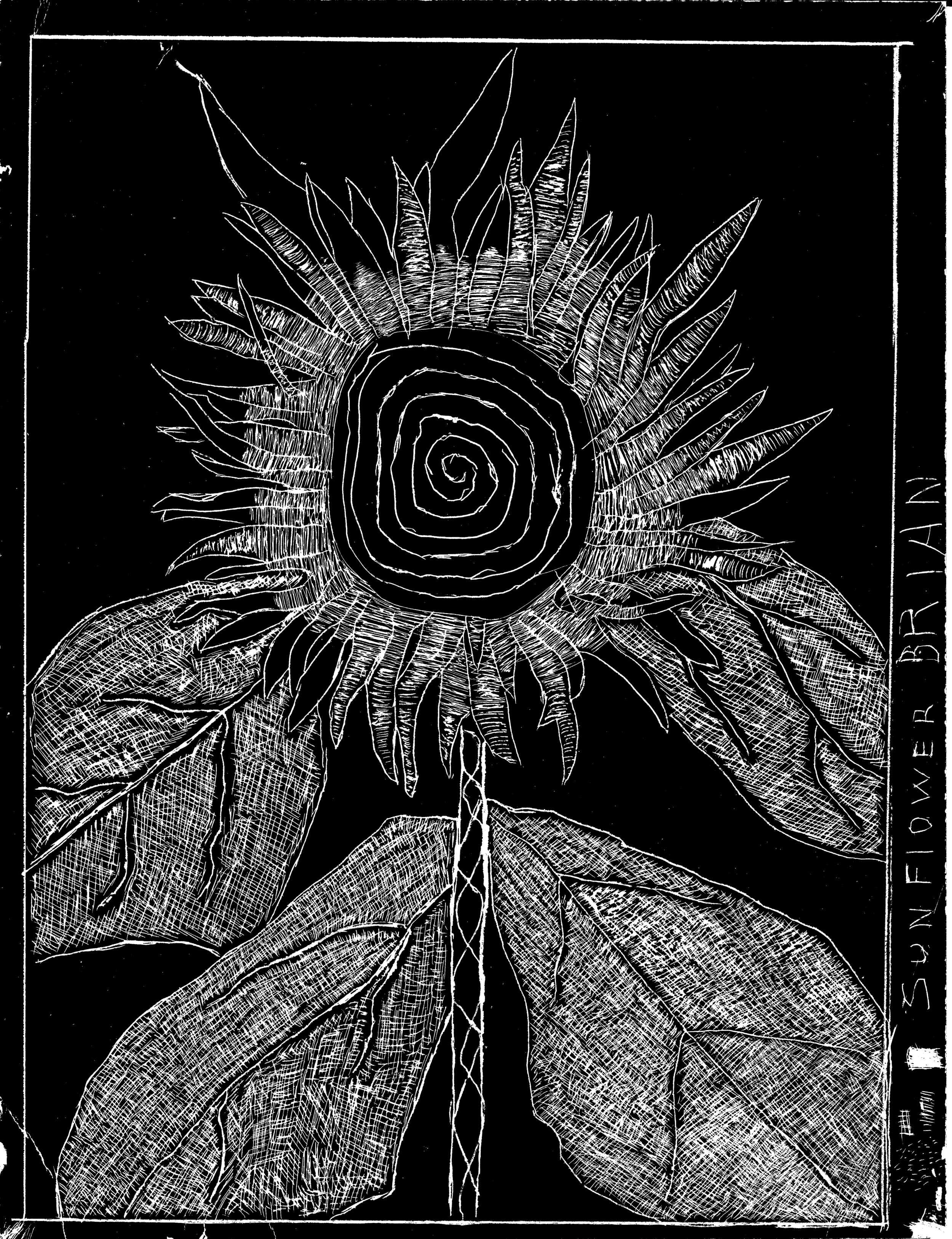 Flower.png