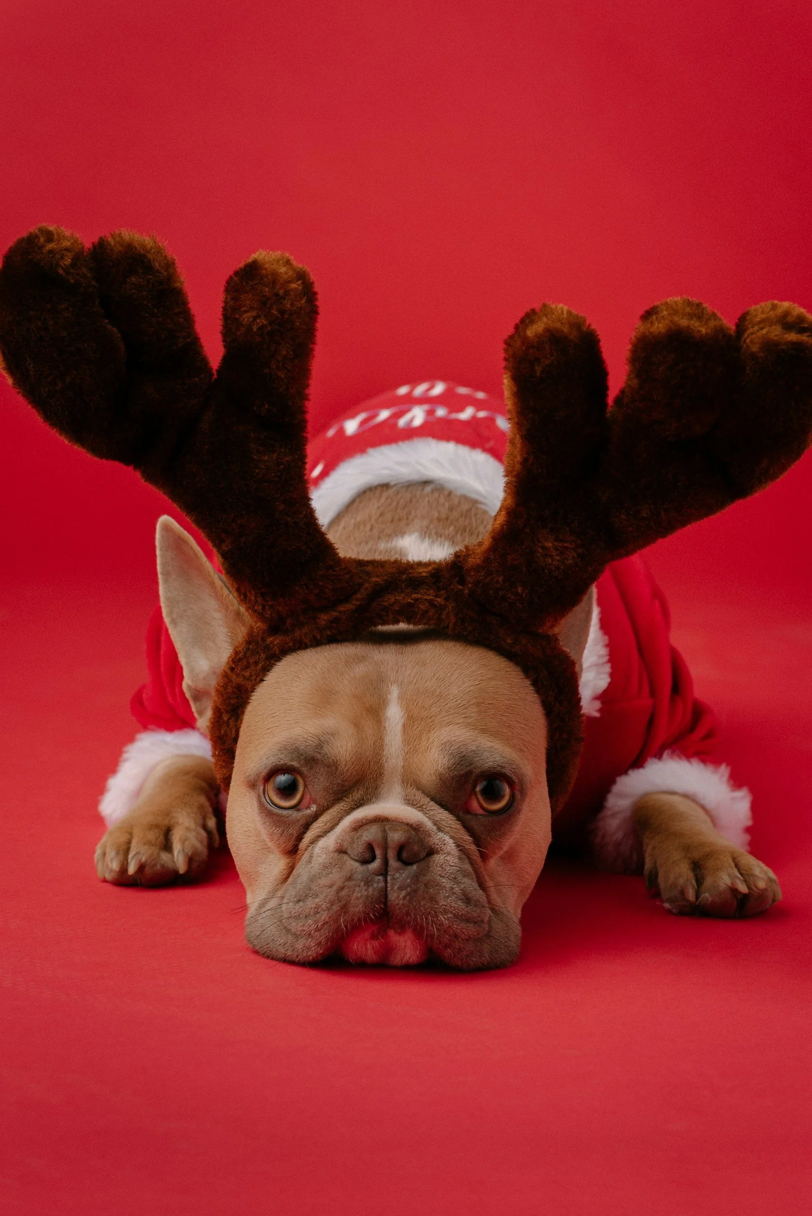 Misdemeanor Court Hearings & the Holiday Season: Why You Need a Criminal Defense Attorney