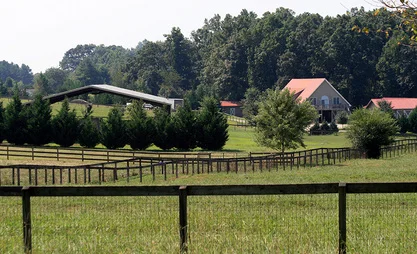 from the road.jpg