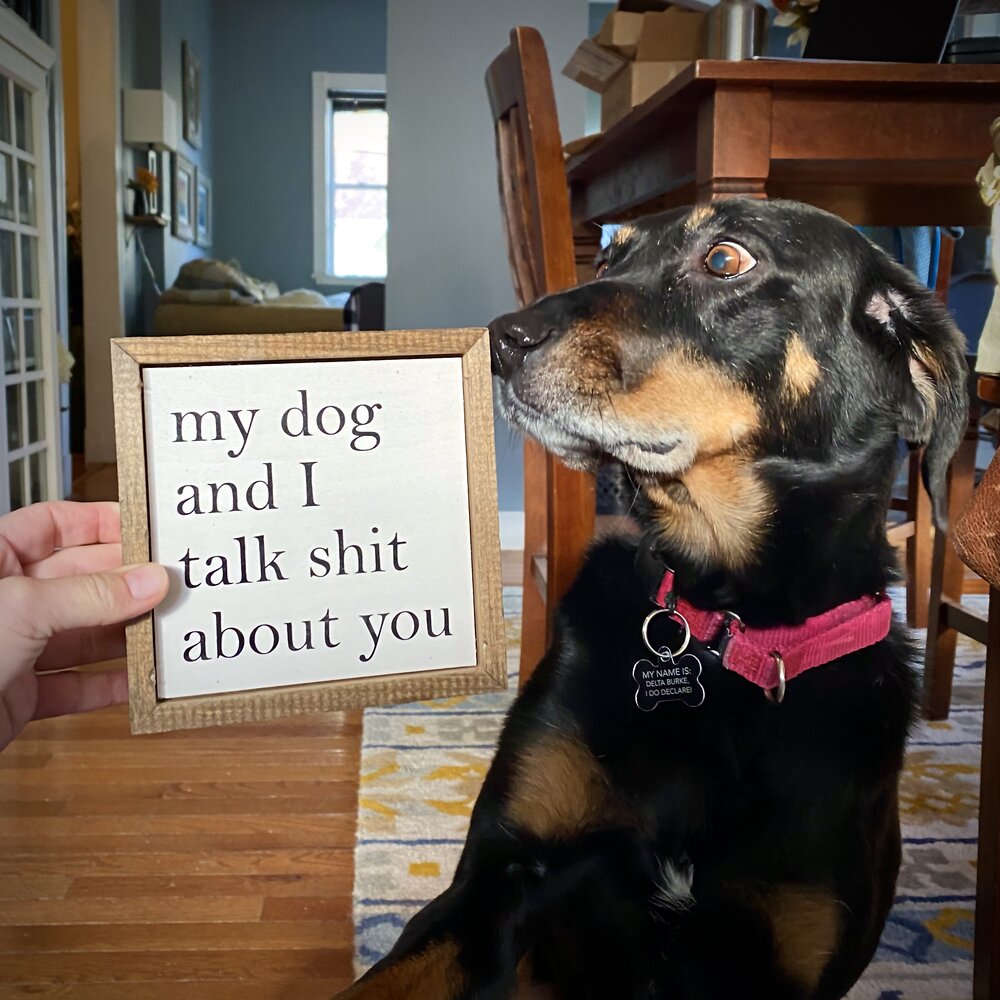 My Dog And I Talk Sh*t About You Funny Gift Hanging Wood Sign NEW 10"x5" C75