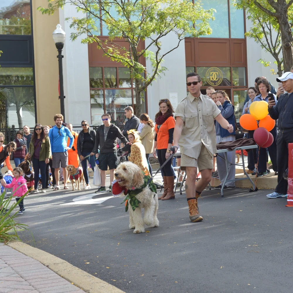 Clients — Wolcott Hill Group