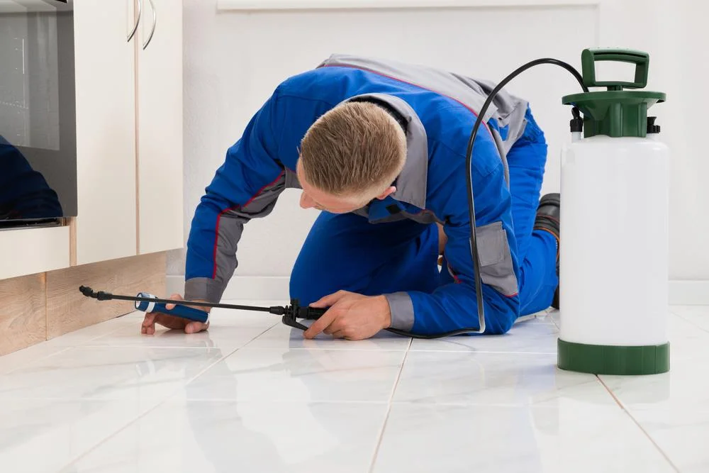 Keye Pest Control Services.jpg