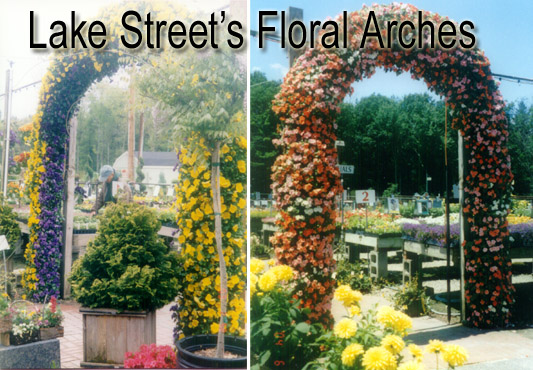 A trademark that is unique to Lake Street Garden Center is our custom made Floral Arches. This Slideshow attempts to capture the beauty of our everchanging seasonal displays.