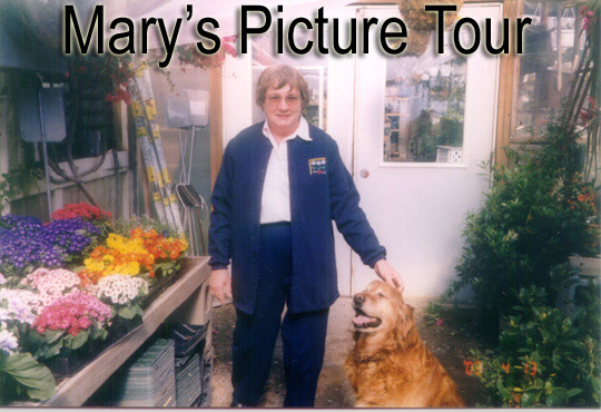 Mary Wolfe, co-founder of Lake Street Garden Center.