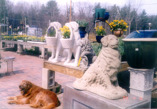 Statuary and Pottery
