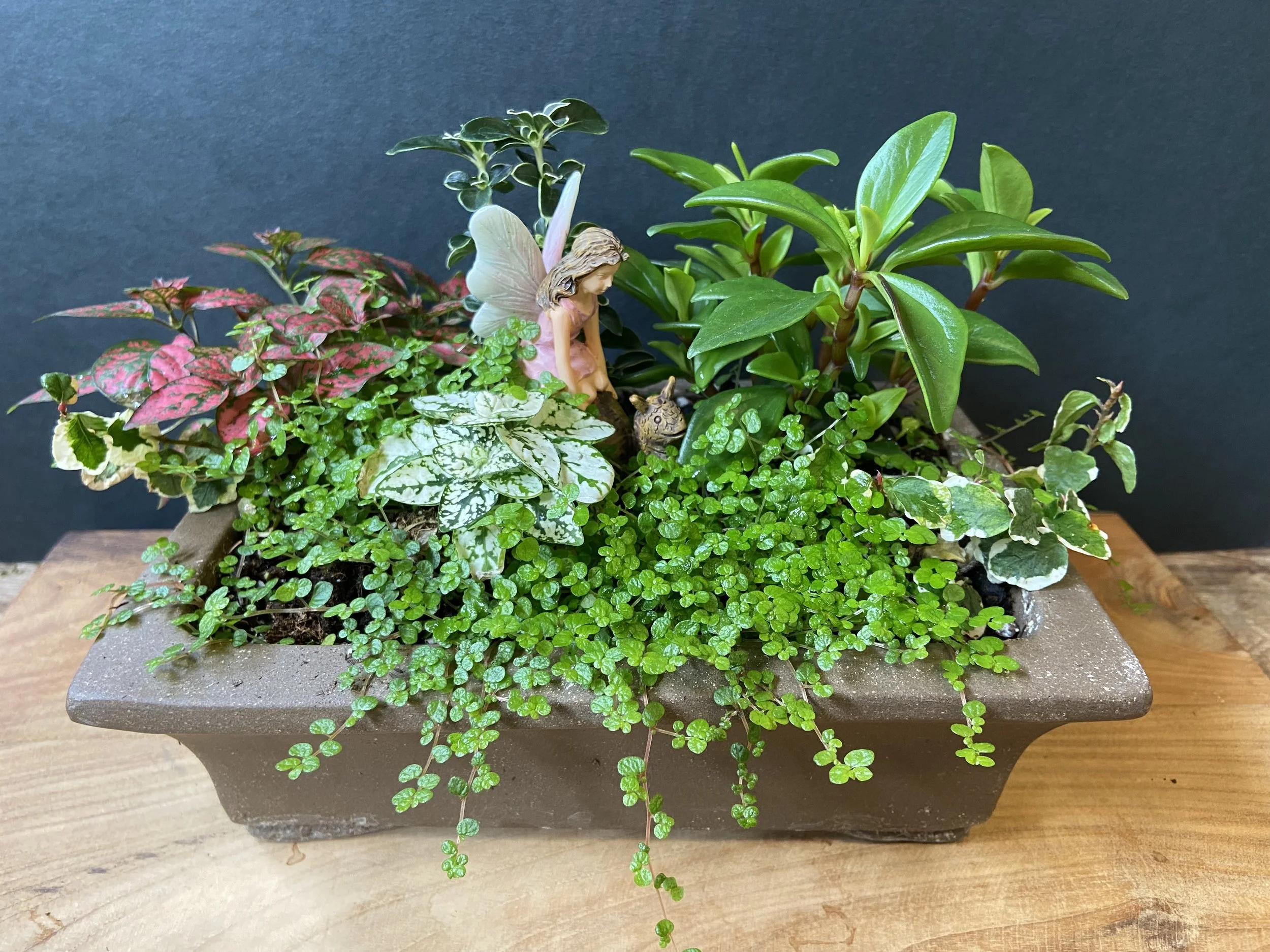 Fairy Garden Workshop