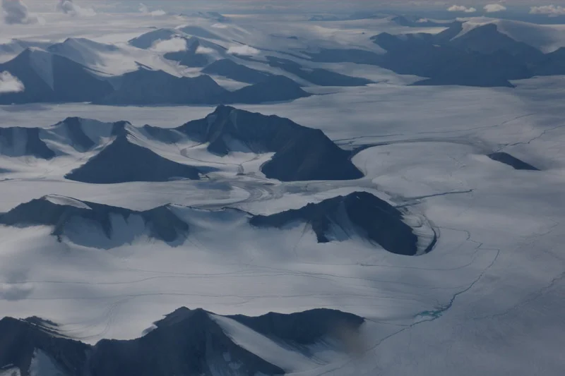 Training & Internal Capacity Building