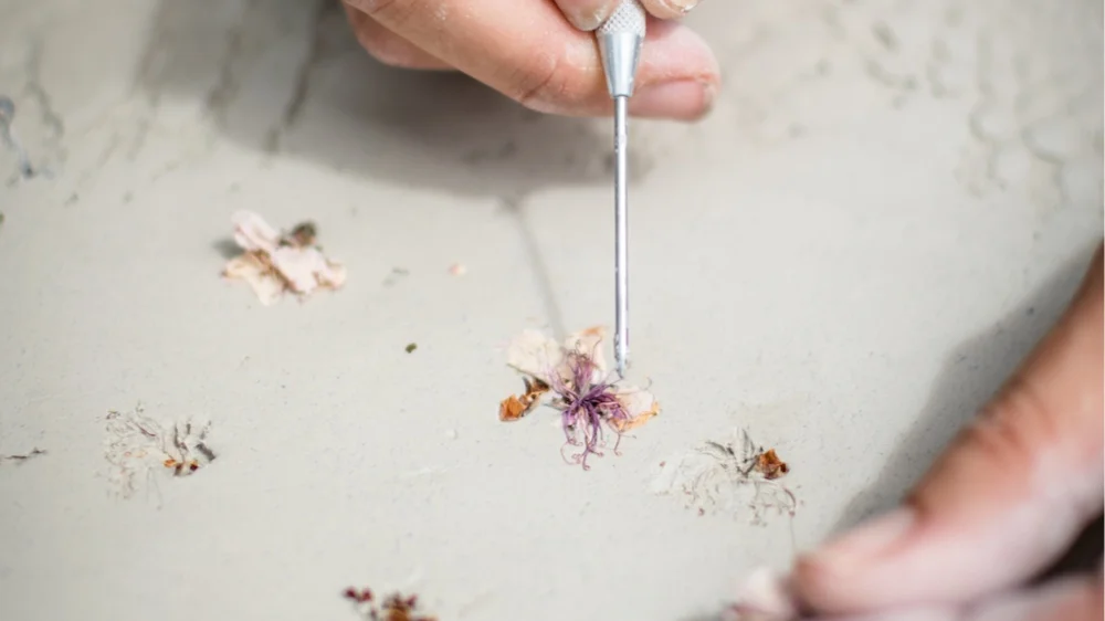 Photo Credit: Shari L. Sweeney, https://www.acertainaesthetic.com