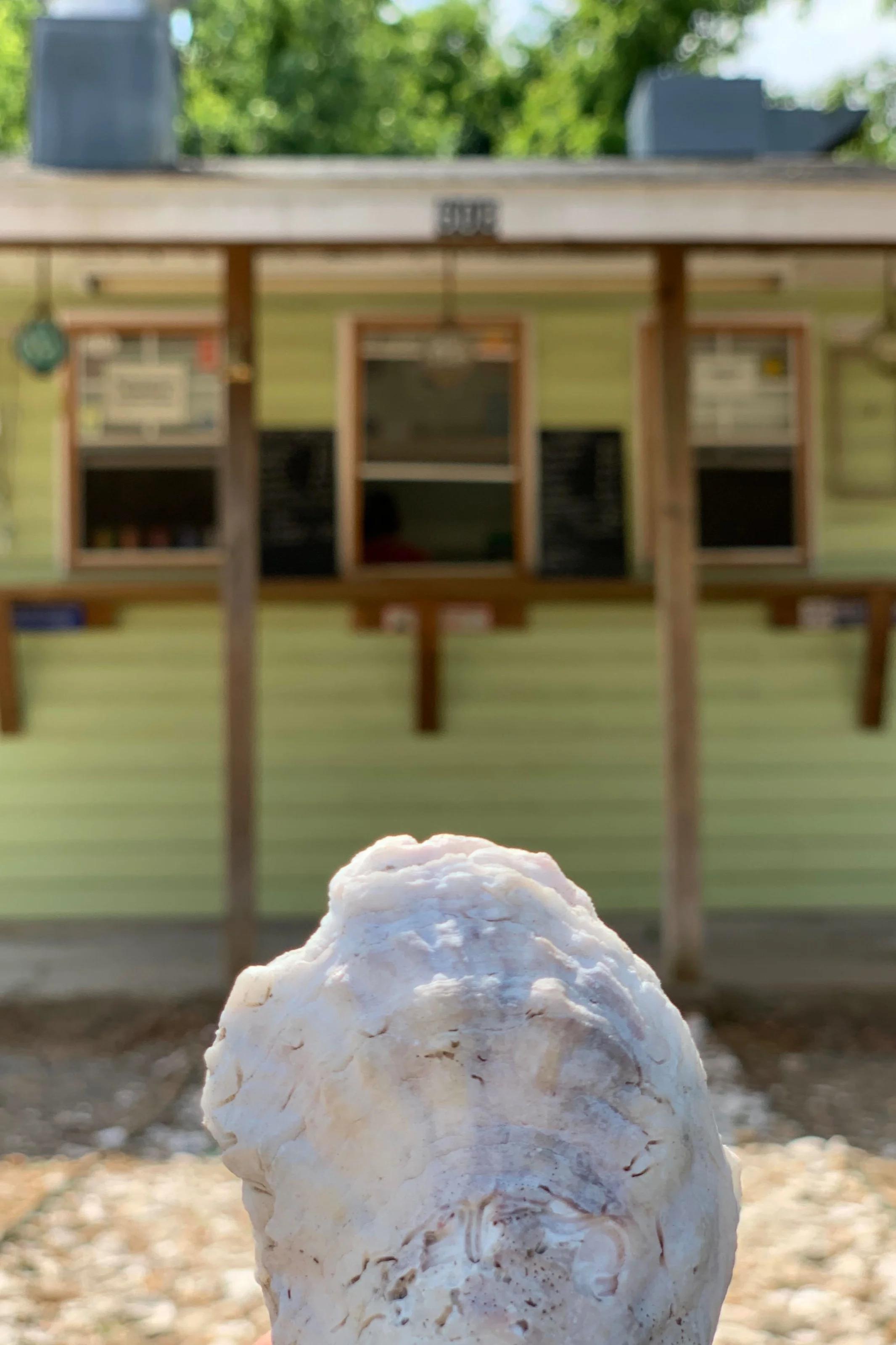 From Palmetto Blog: Salt Box , Photo by Katherine Van Dis