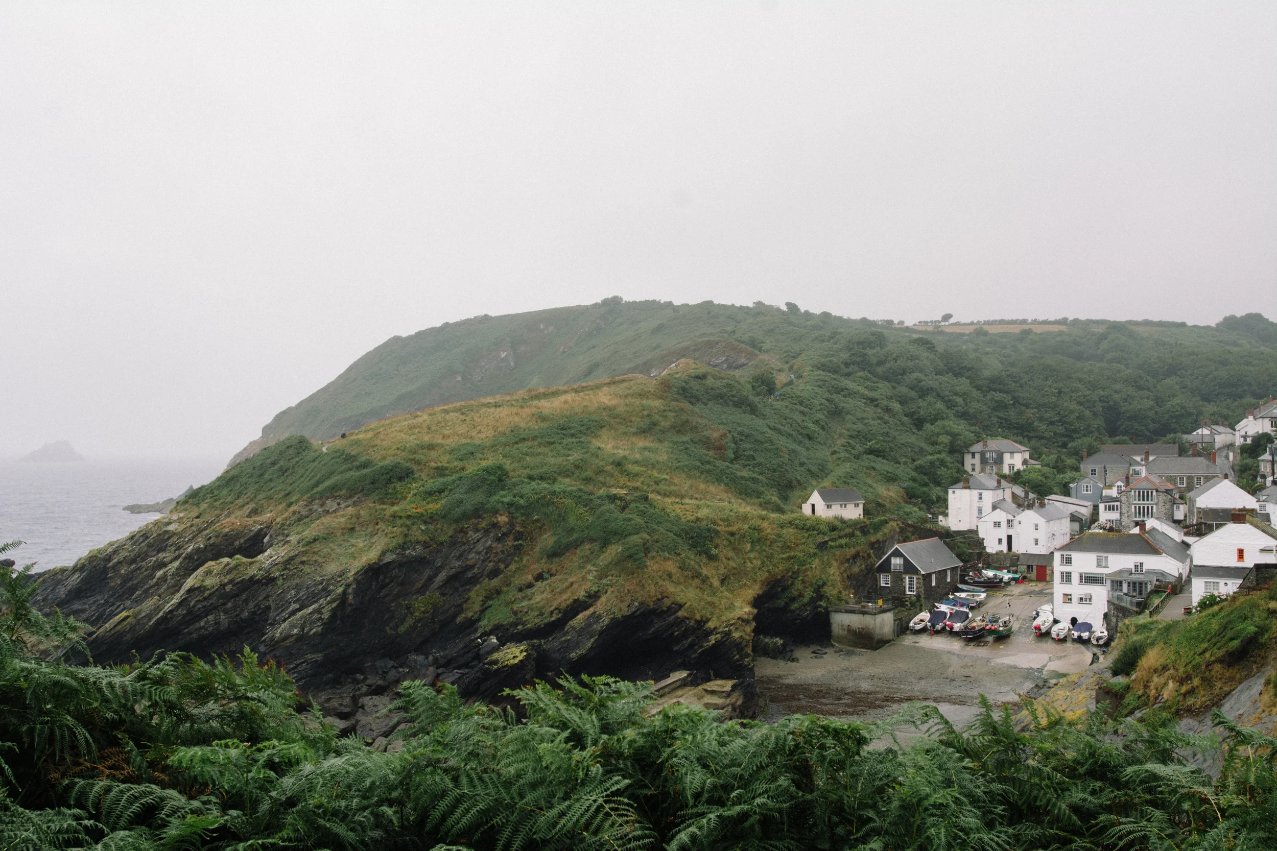 DSC_3223.jpg