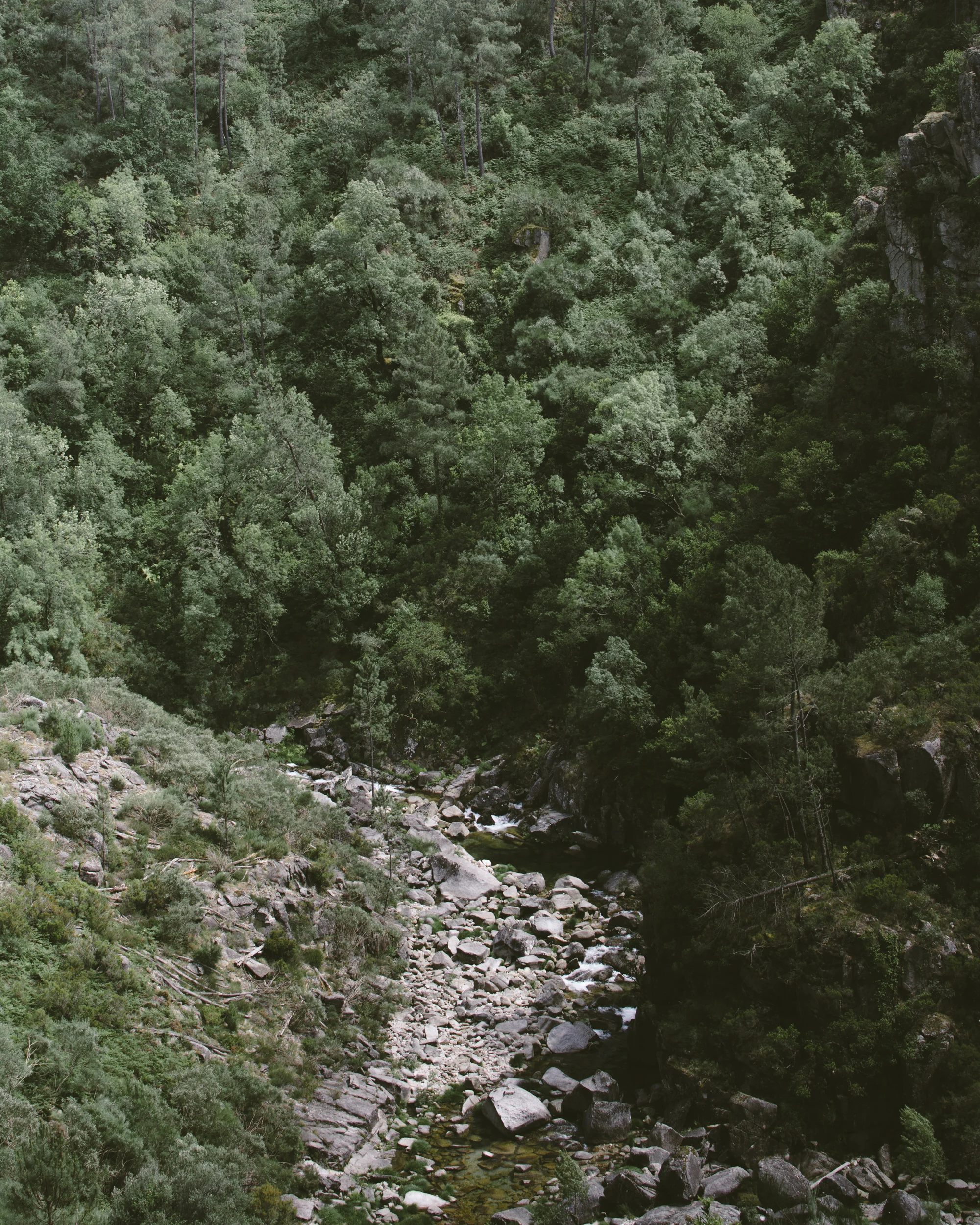 Photo: Conan Marshall