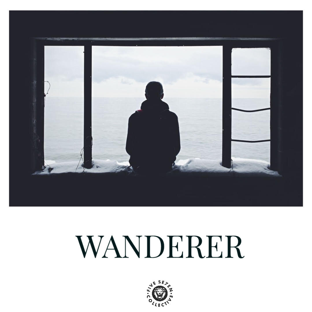 Wanderer - Ric Chavez