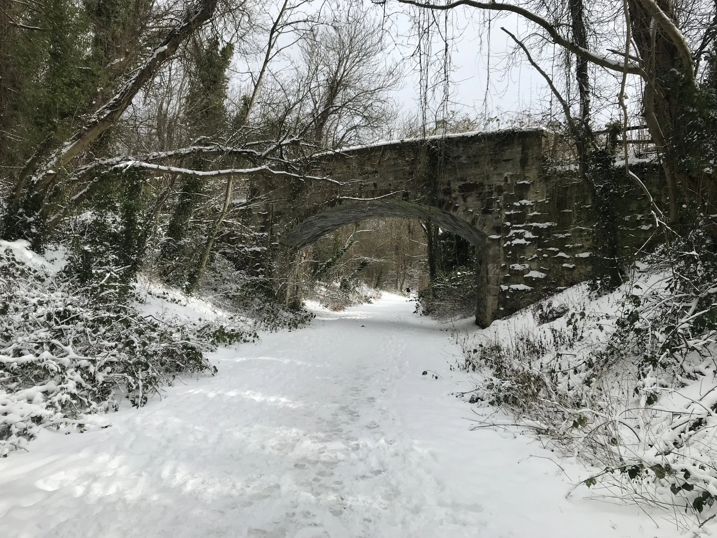 This could be your Christmas morning walk.
