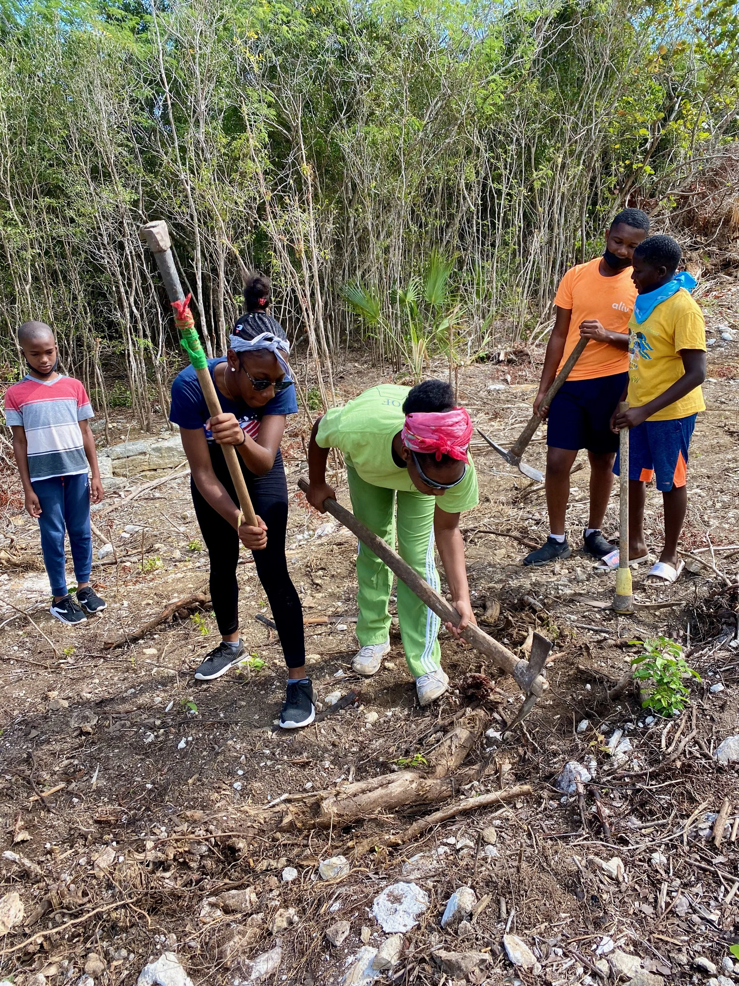 CIU Website 2022 Farm 2 - 1.jpeg