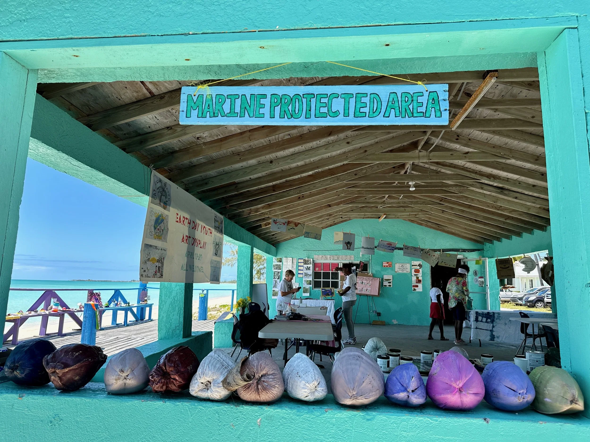 CIU Website ED 2024 MPA - 1.jpeg