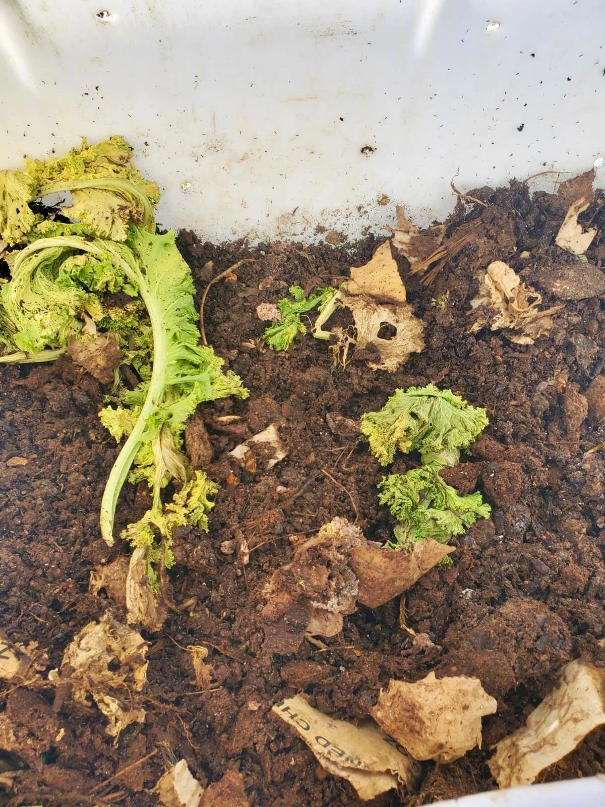 CIU Composters - 3.jpeg