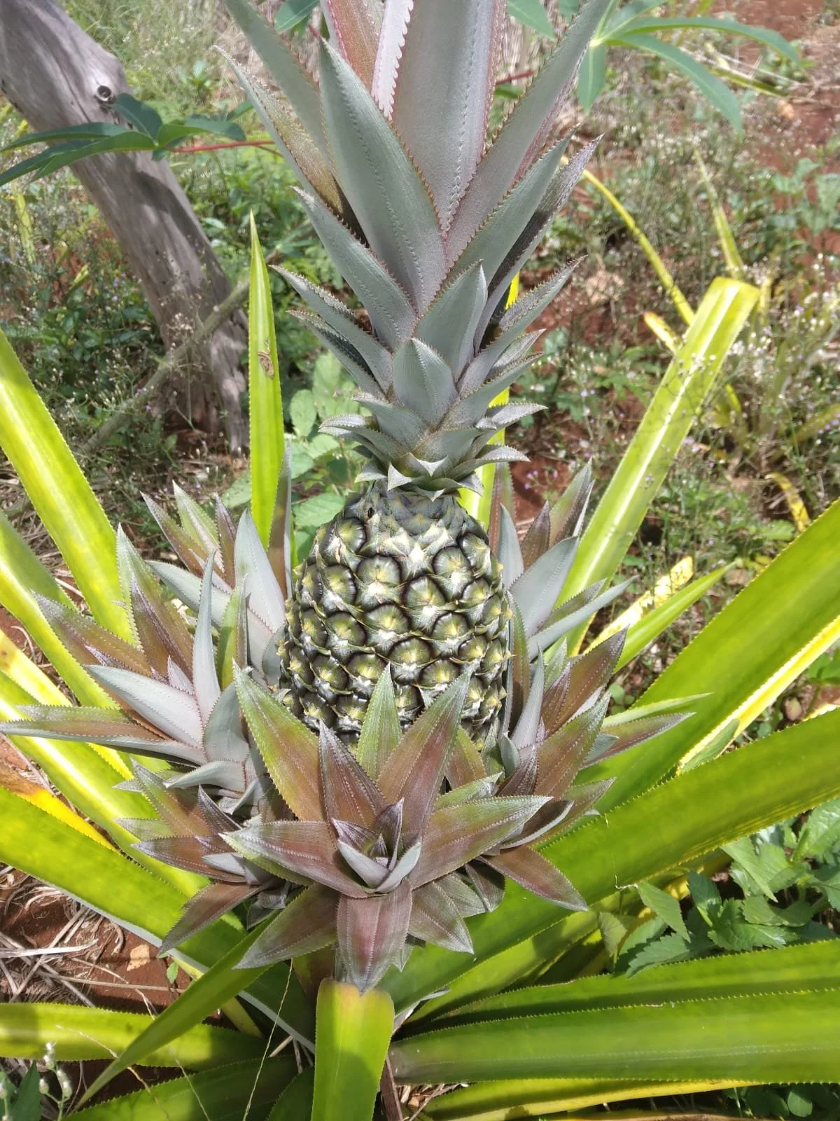 PHOTO-2026-02-21-19-55-07 2.jpg