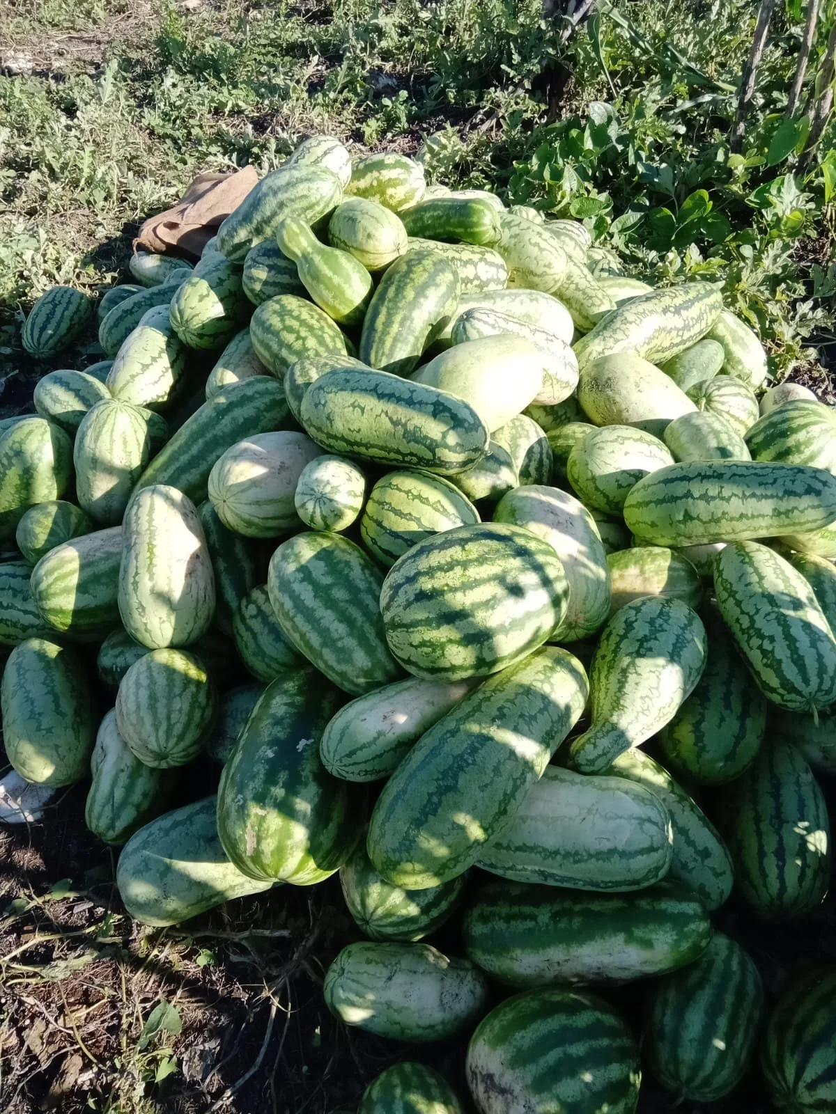 PHOTO-2026-02-21-20-06-41 2.jpg