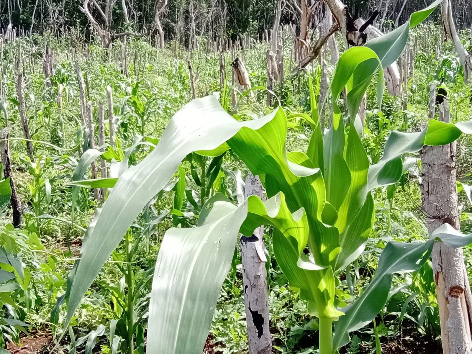 PHOTO-2026-02-21-20-06-41 3.jpg