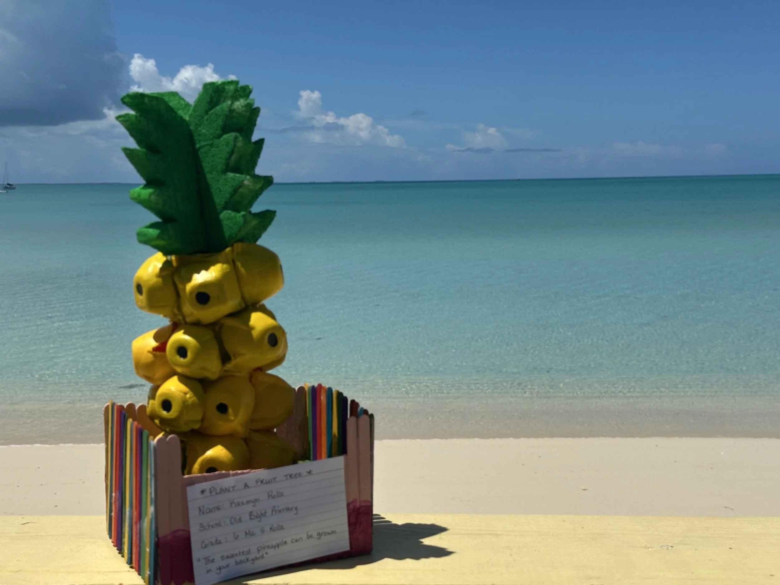 Pineapple.jpg