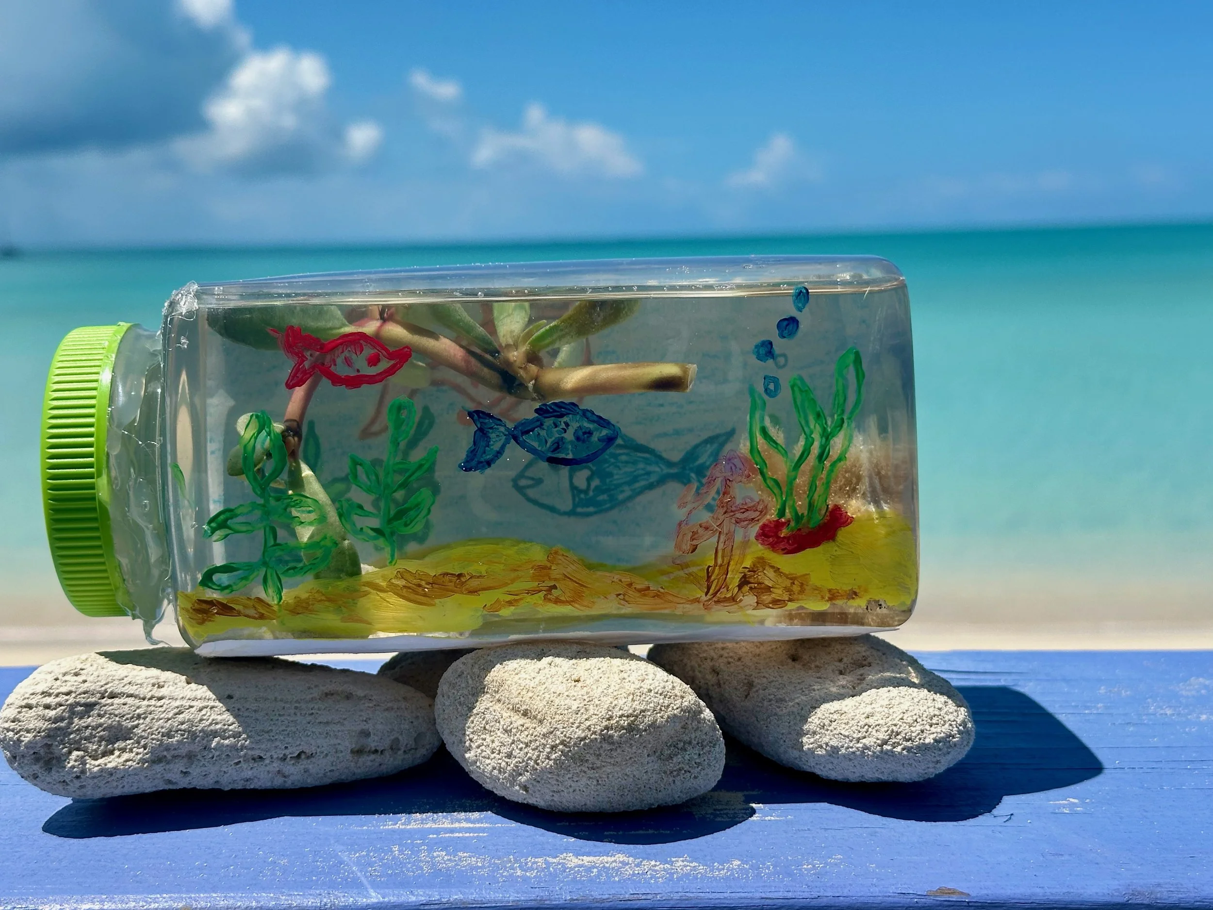 Aquarium in a jar.jpeg