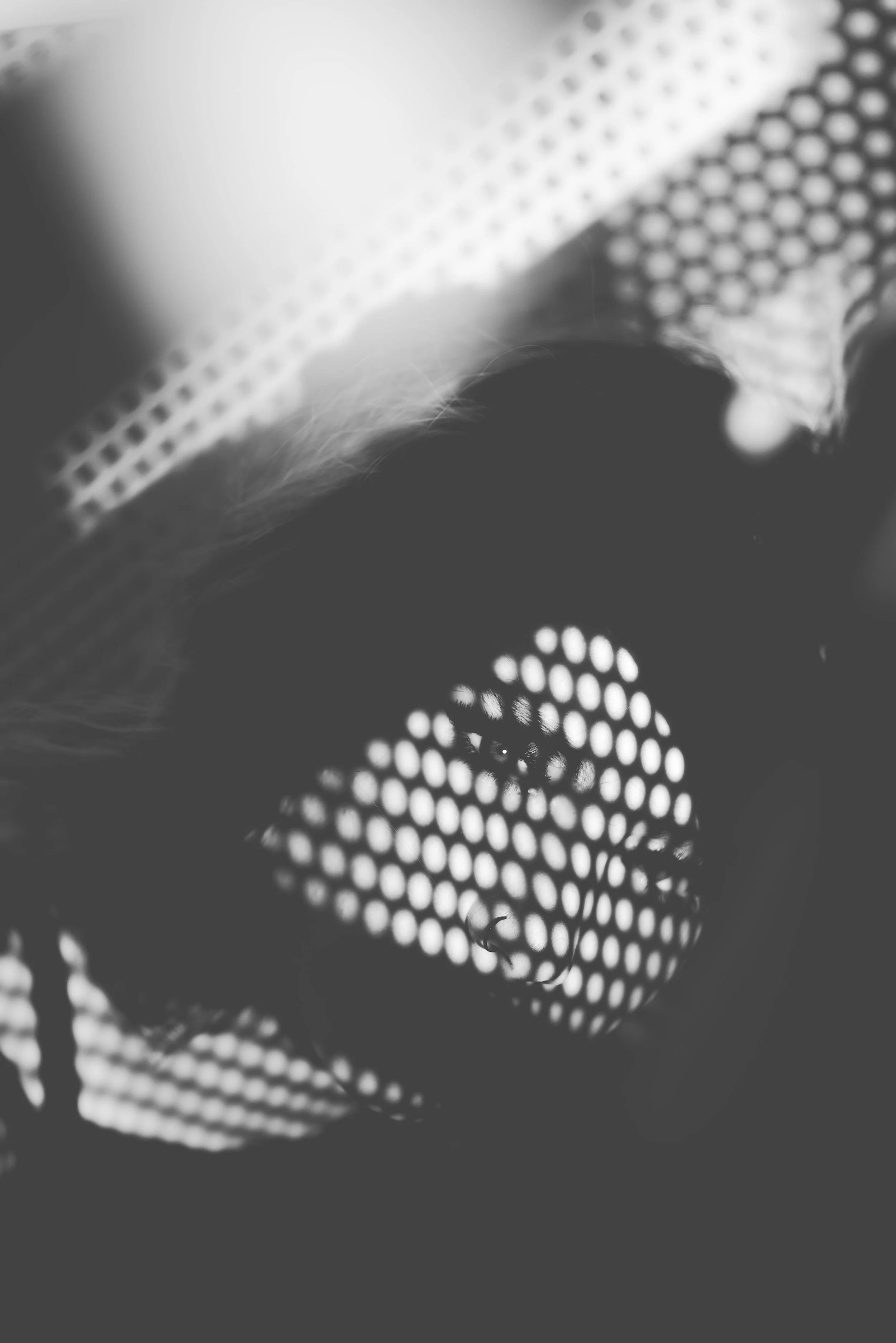 _DSC0316.jpg