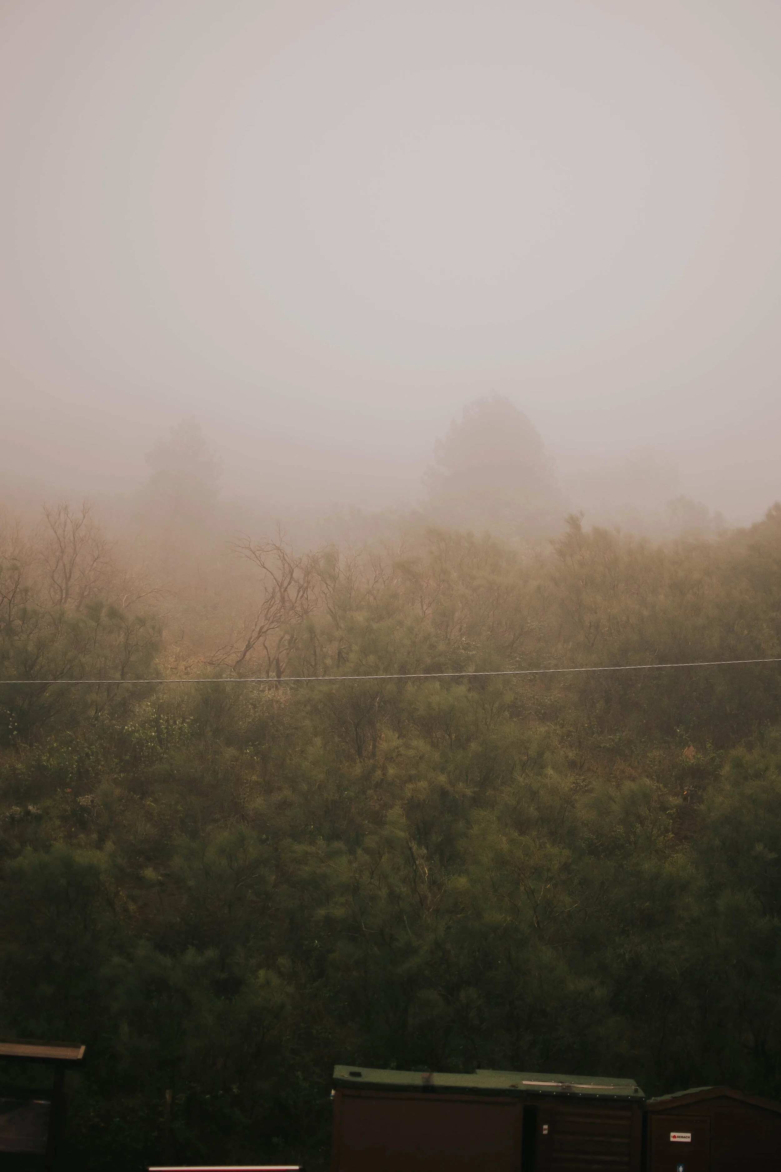 DSC_1454.jpg