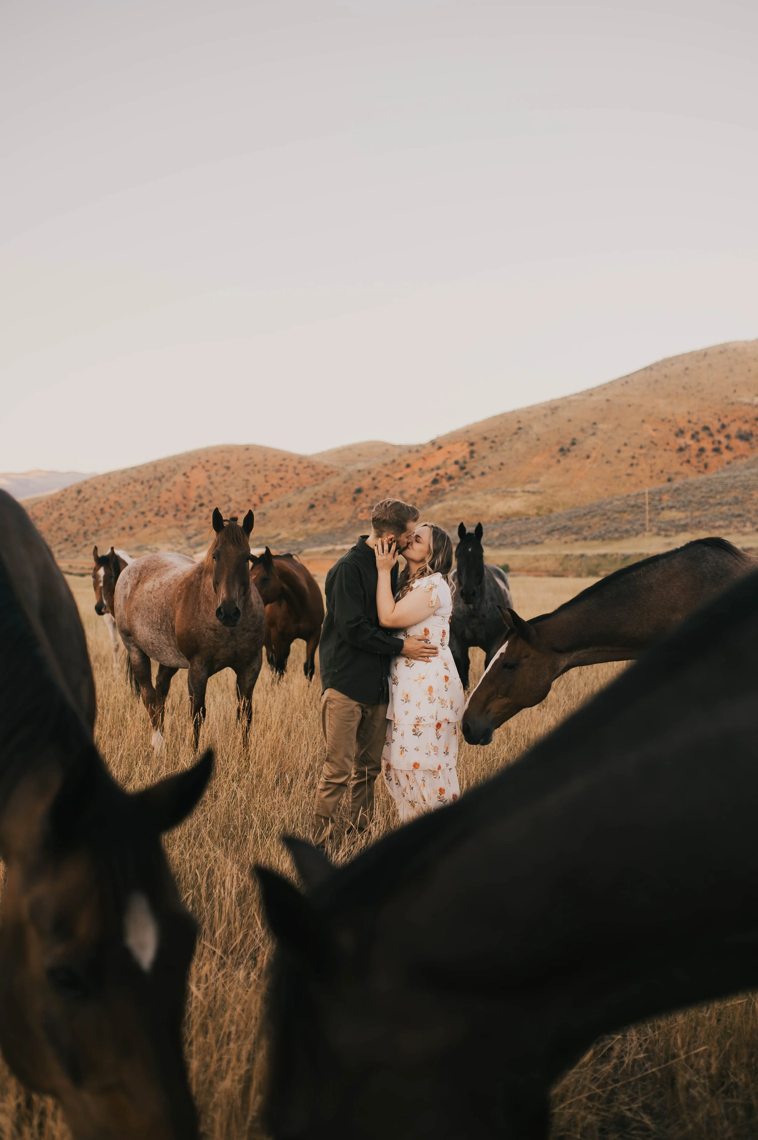 Engagements with Horses
