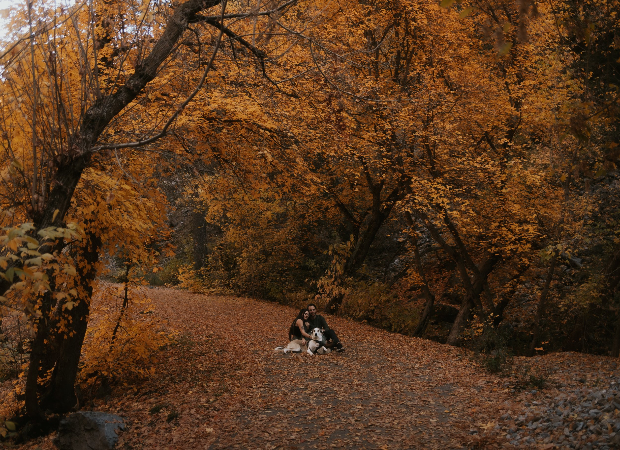 R6II7810.jpg
