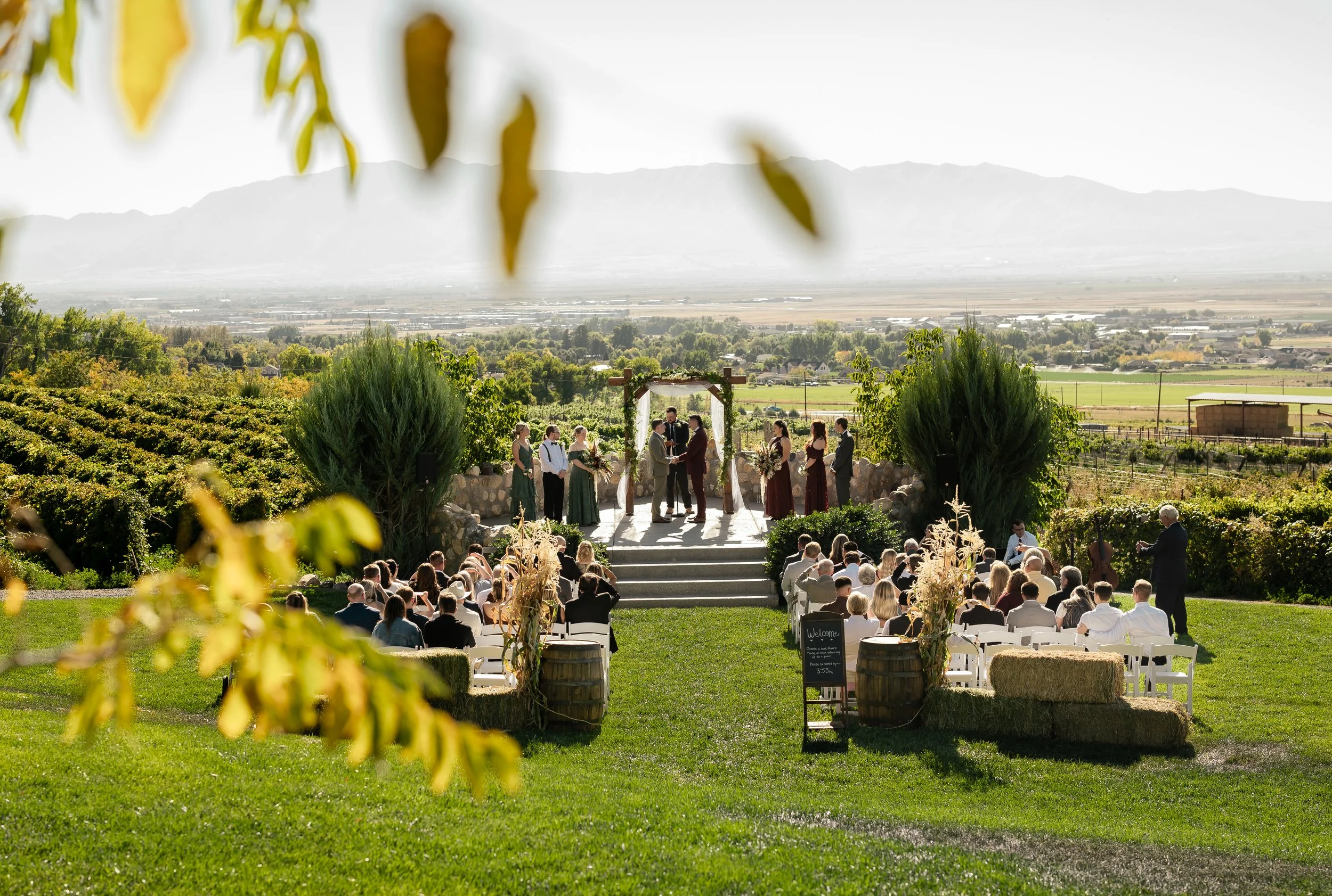 Mt Naomi Vineyard, Hyde Park Utah