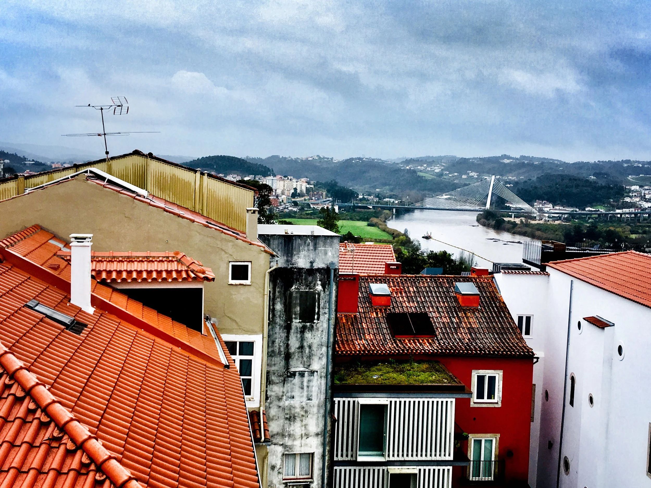 Margalit Shetreat-Klein