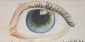 Hallel Shapiro-Franklin