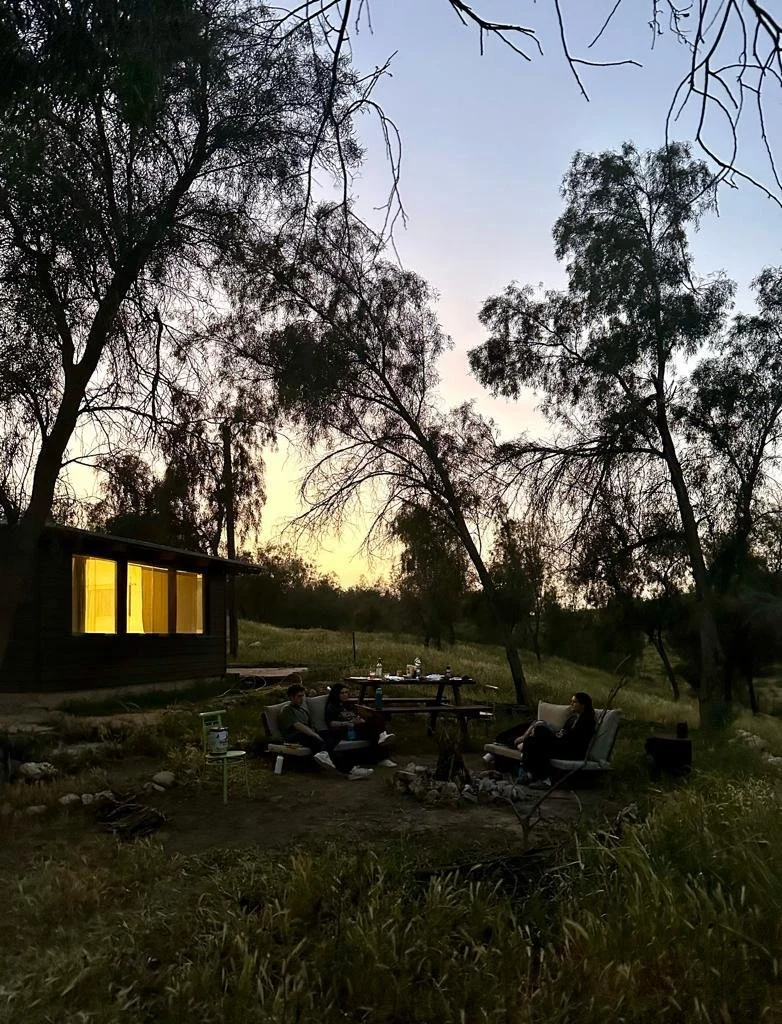 Hannah Tambor — Meitar