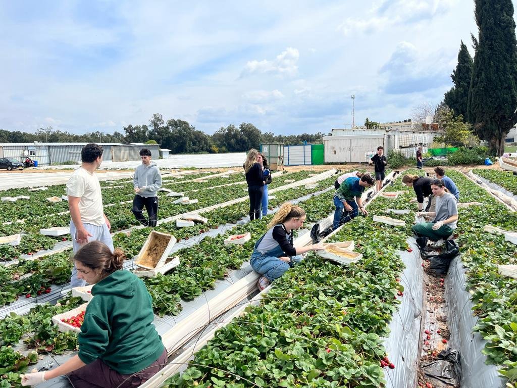 Hannah Tambor — Qadima-Zoran